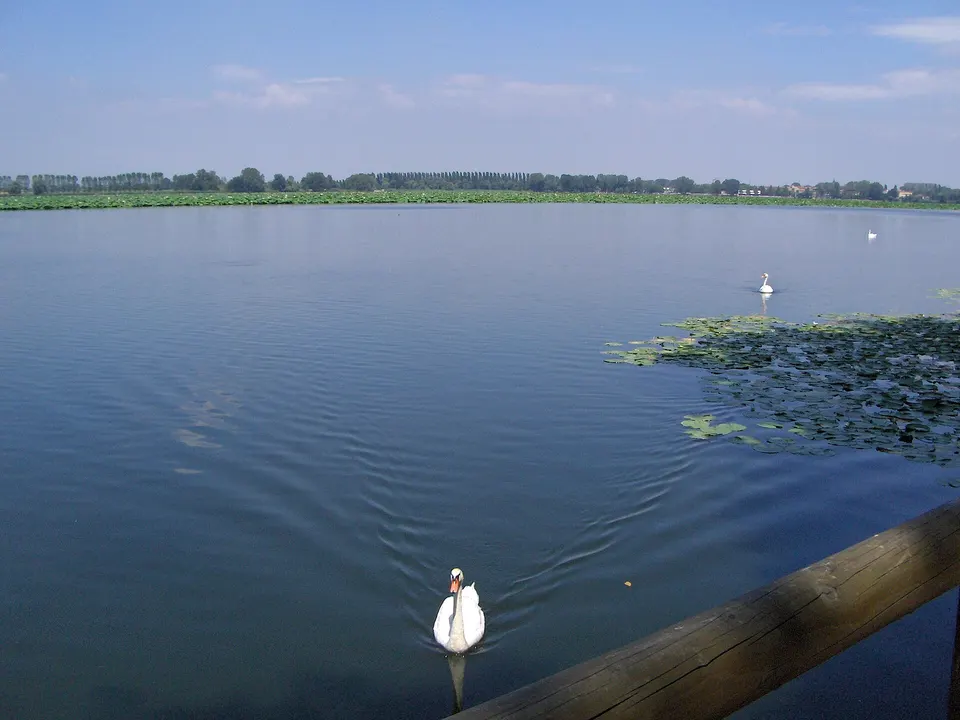 Mantova - Lago Superiore panorama