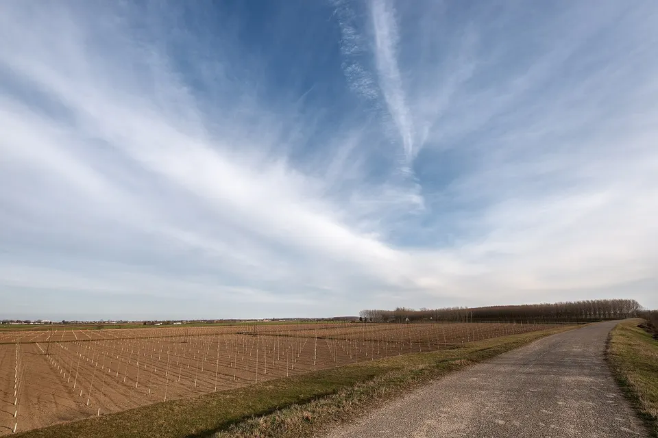 Via Argine Oglio - Marcaria, Mantova, Italia