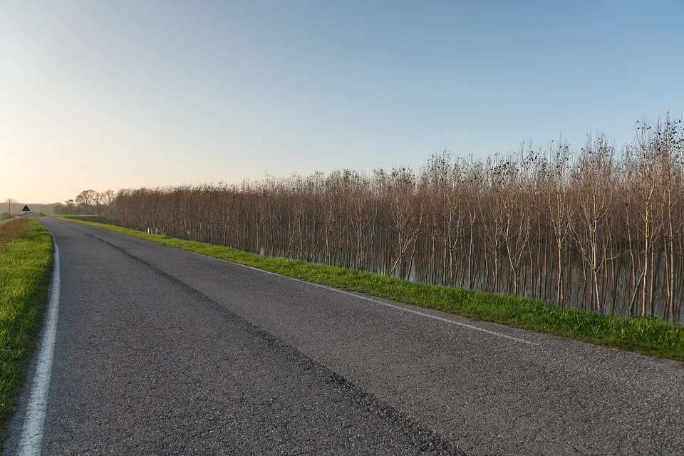Via Argine Po Nord - San Benedetto Po, Mantova, Italia