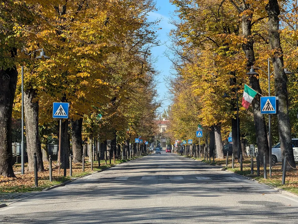 Pegognaga, viale alberato San Lorenzo