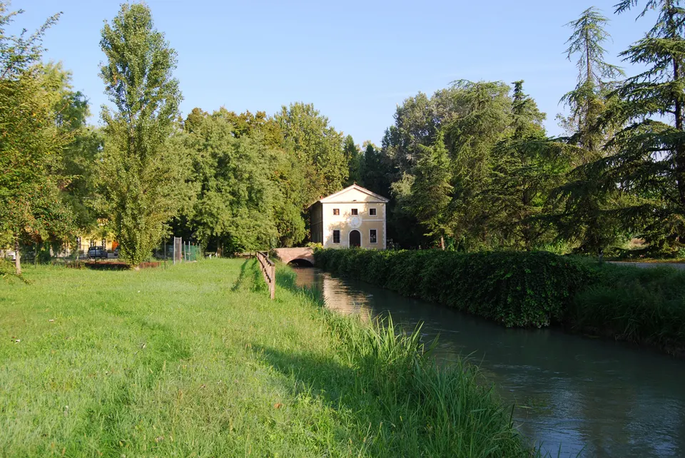 Bigarello, Foresta Carpaneta.